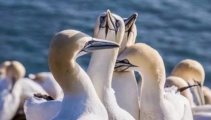 赛事动态-波尔津吉斯30分特雷杨21分 勇士胜奇才结束五连败